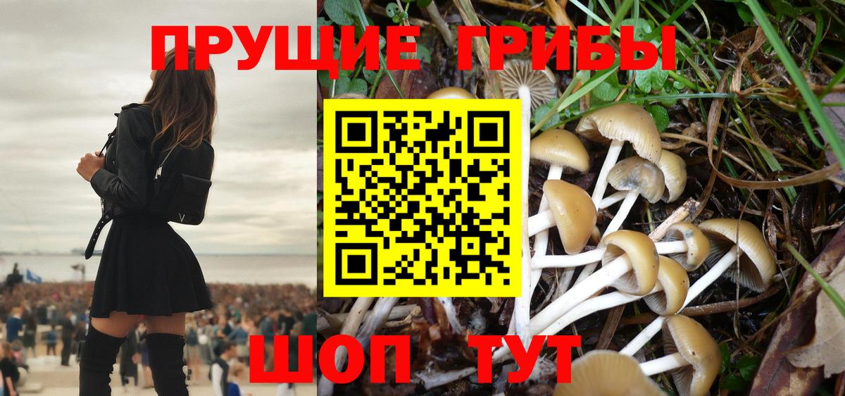 Торжок  Псилоцибиновые грибы ЛСД  Вход с VPN 