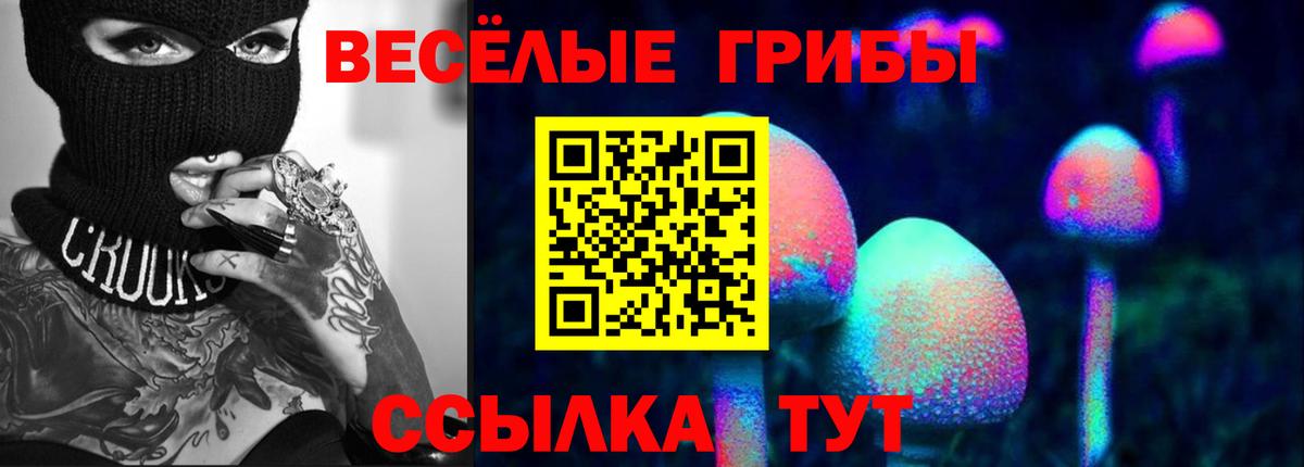 Галлюциногенные грибы GOLDEN TEACHER Торжок